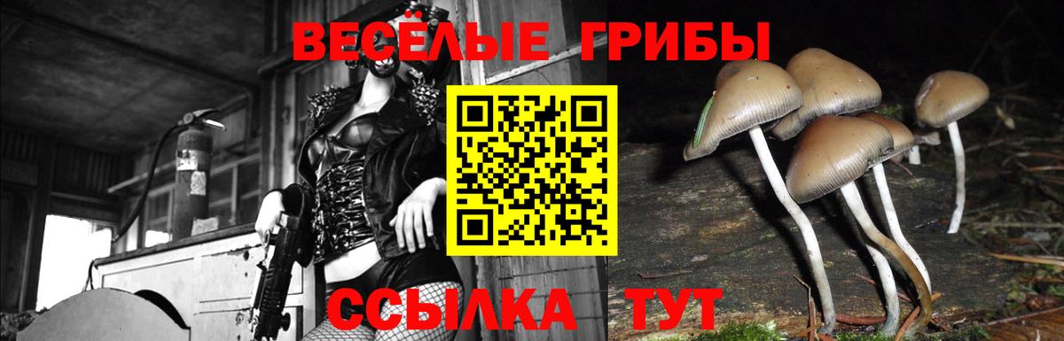Валуйки  Псилоцибиновые грибы мицелий  Вход с VPN 